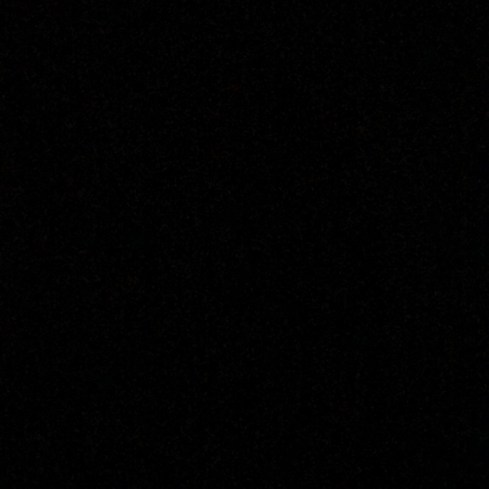 Meet your Posher, Sasha